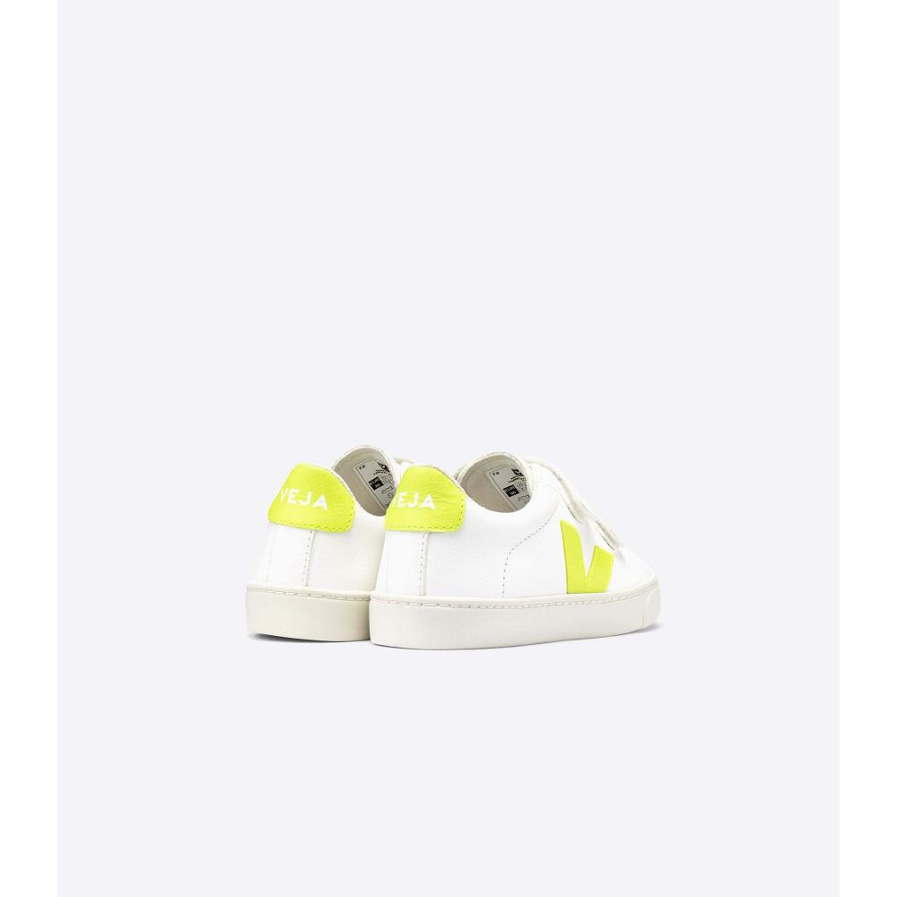 Veja ESPLAR CHROMEFREE Schoenen Kinderen White/Green | BE 726GSO